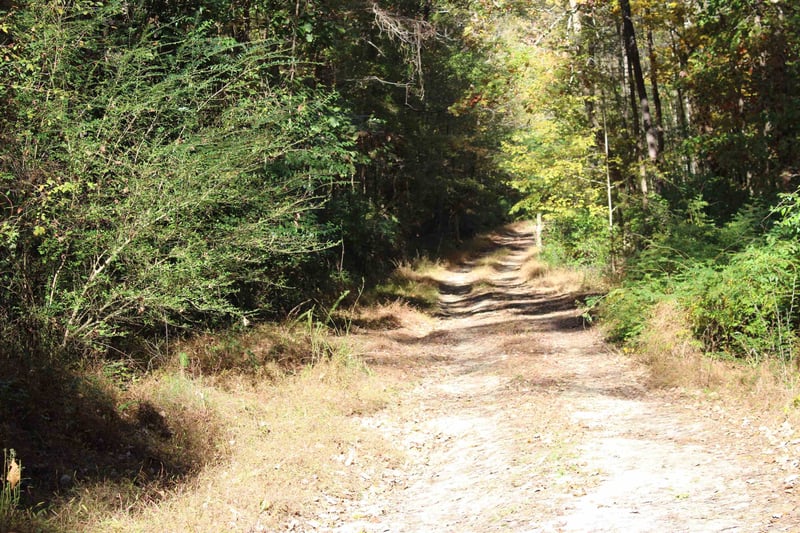 3022 Colony Dr, Garner, NC 27529