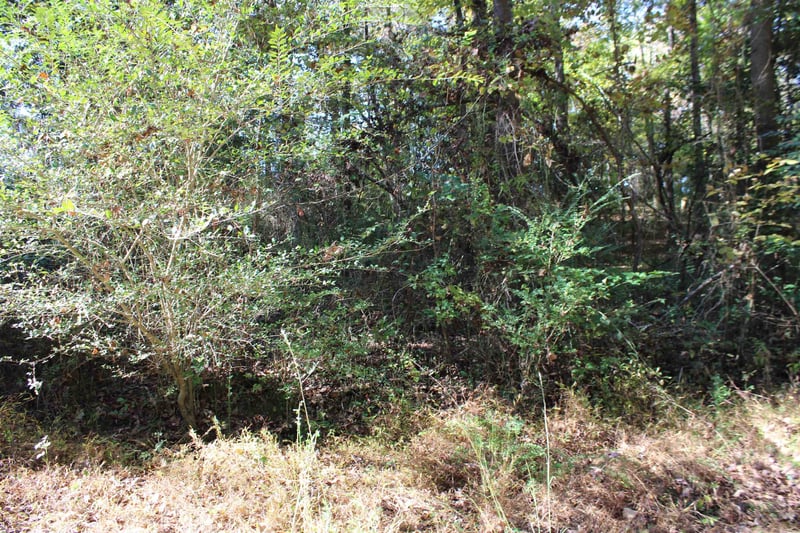 3022 Colony Dr, Garner, NC 27529