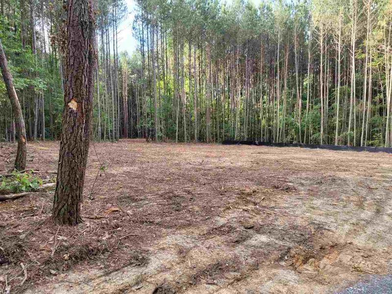 3023 N Nc 87, Pittsboro, NC 27312