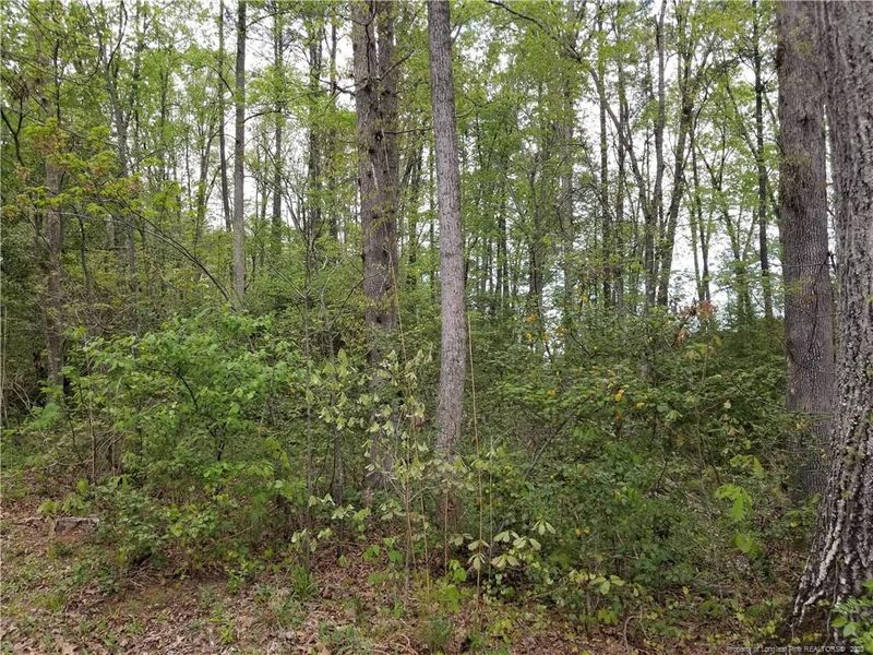 3028 Bourbon St, Sanford, NC 27332