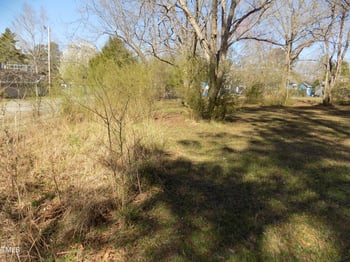 303 King St Lot 11, Louisburg, NC 27549