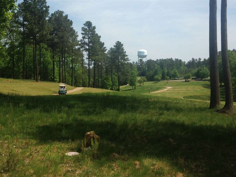 304 Chapel Ridge Dr Lot 36, Pittsboro, NC 27312