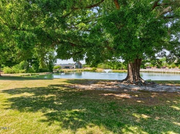 304 Darter St, Holly Springs, NC 27540