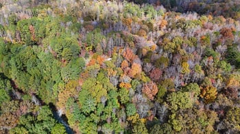 304 Wrights Way, Pittsboro, NC 27312