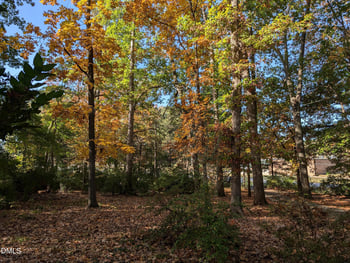 3043 Creech Rd, Raleigh, NC 27610