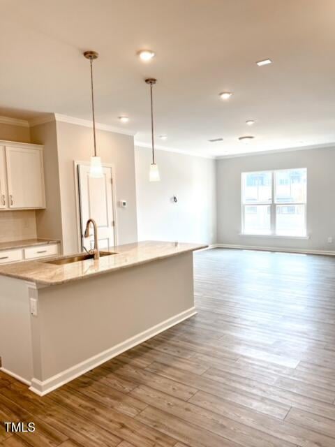 305 Annabelle Blue Dr, Wake Forest, NC 27587