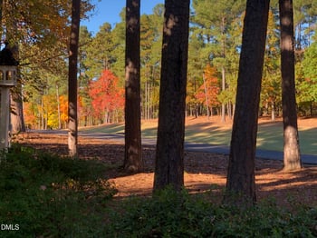 305 Ridge Creek Dr, Morrisville, NC 27560