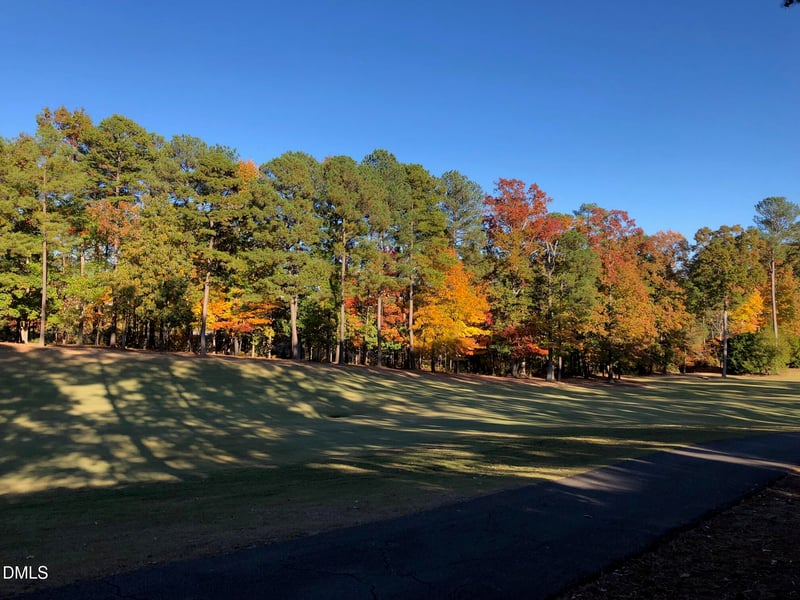 305 Ridge Creek Dr, Morrisville, NC 27560