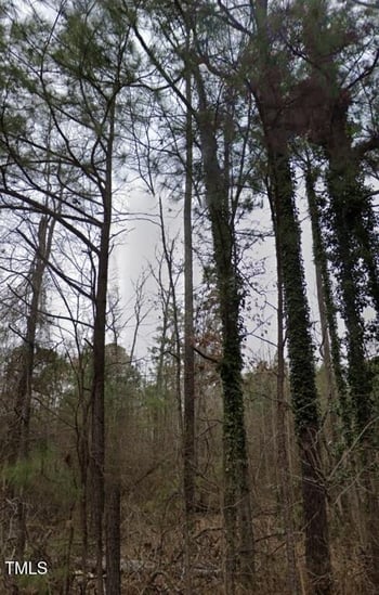 305 Todd St, Durham, NC 27704
