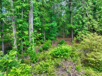 3057 Lake Dr Lot 2, Durham, NC 27704