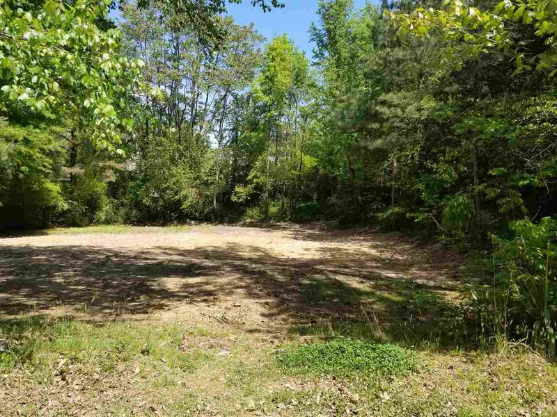 306 Saunders St Lot 1, Apex, NC 27502
