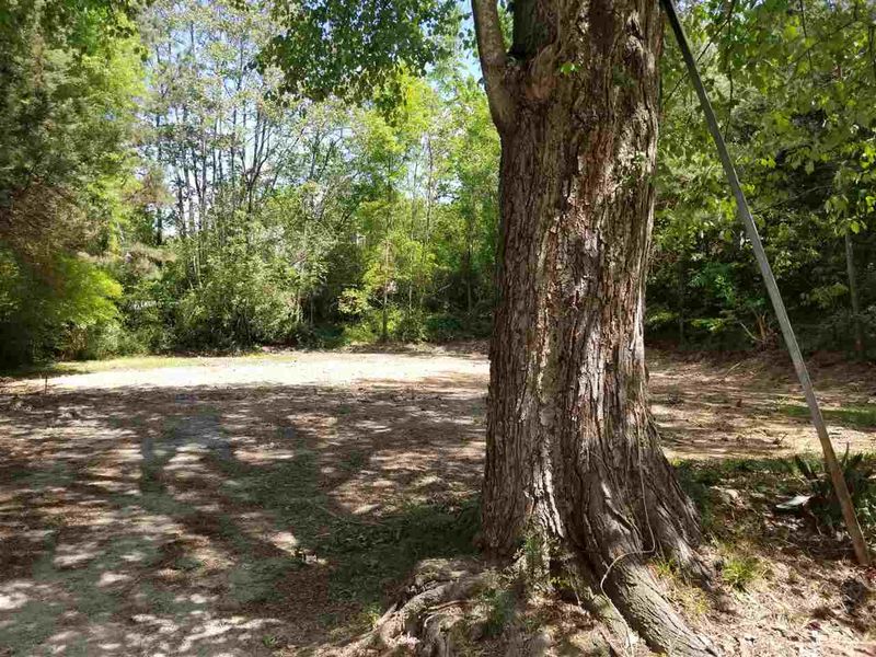 306 Saunders St Lot 1, Apex, NC 27502