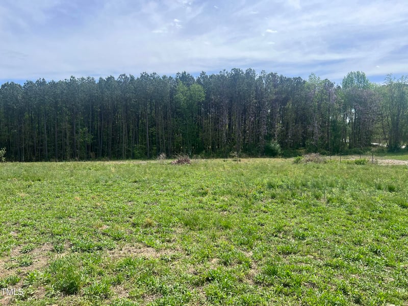 307 Wilson Fuller Rd Lot 00, Louisburg, NC 27549