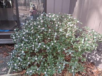 3080 Colony Rd #3080c, Durham, NC 27705