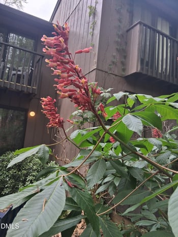 3080 Colony Rd #3080c, Durham, NC 27705