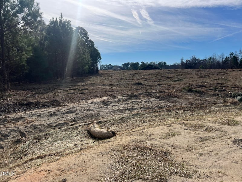 31 Woods Hill Lane Dr, Benson, NC 27504