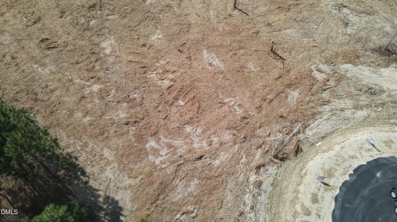 31 Woods Hill Lane Dr, Benson, NC 27504