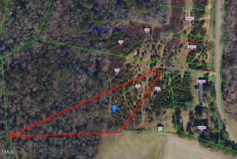 31 Woods Hill Ln Lot 5, Benson, NC 27504