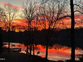 310 Cameron Dr, Raleigh, NC 27603