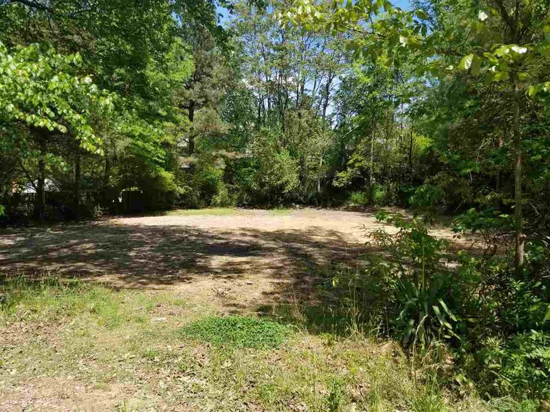 310 Saunders St Lot 2, Apex, NC 27502