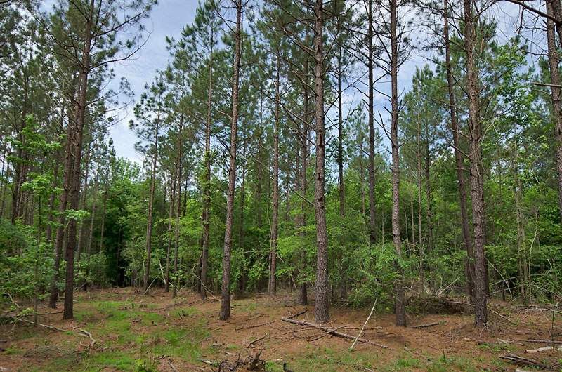 3100 Baptist Rd Lot 1, Durham, NC 27703