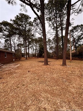 3101 Ansley Ct, Hope Mills, NC 28348