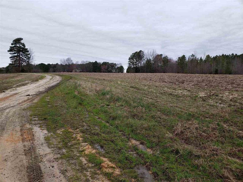 3101 Walters Rd, Creedmoor, NC 27522