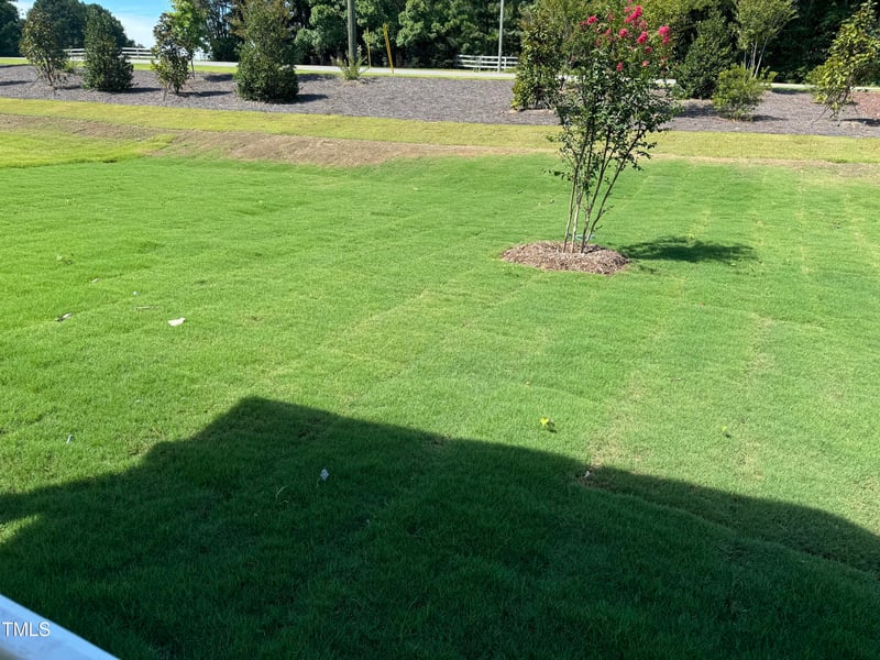 3104 Armeria Dr Lot 7, Apex, NC 27502