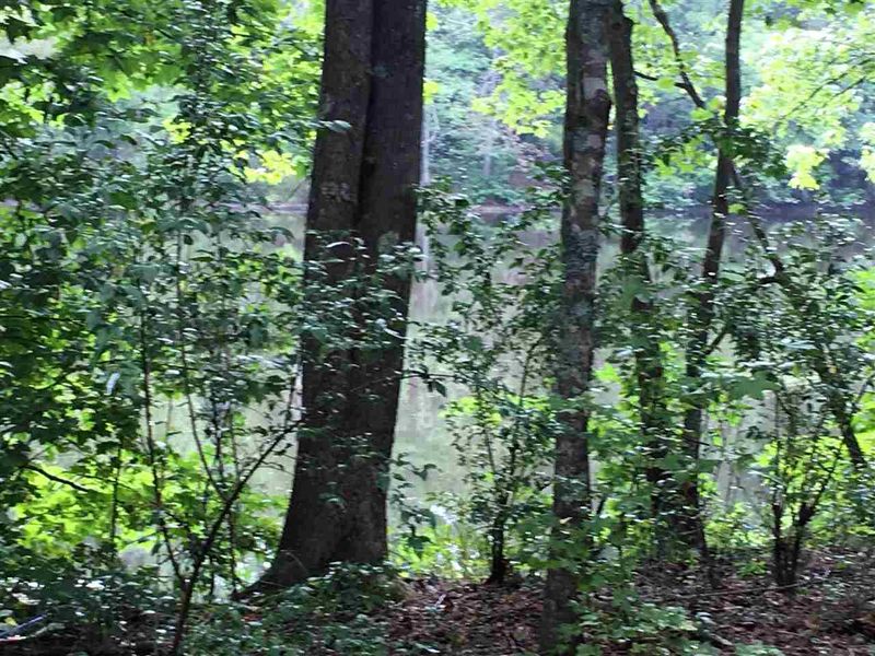 311 E Hawfields Rd Lot 8, Pittsboro, NC 27312