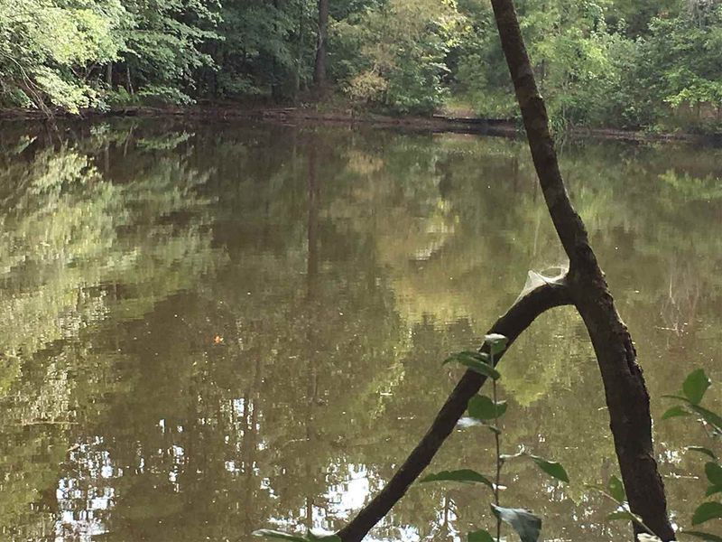 311 E Hawfields Rd Lot 8, Pittsboro, NC 27312
