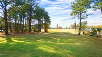 311 Inkster Cv, Raleigh, NC 27603