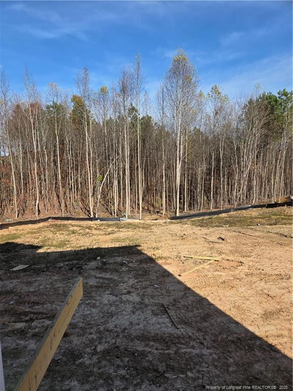 311 One Tree Hill, Sanford, NC 27330