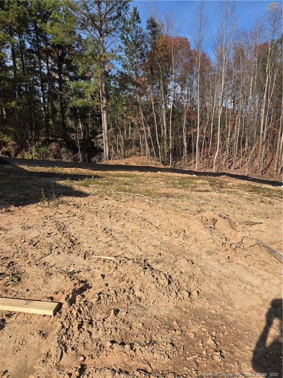 311 One Tree Hill, Sanford, NC 27330