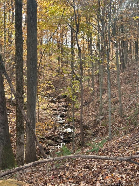 3110 Buckhorn Rd, Sanford, NC 27330