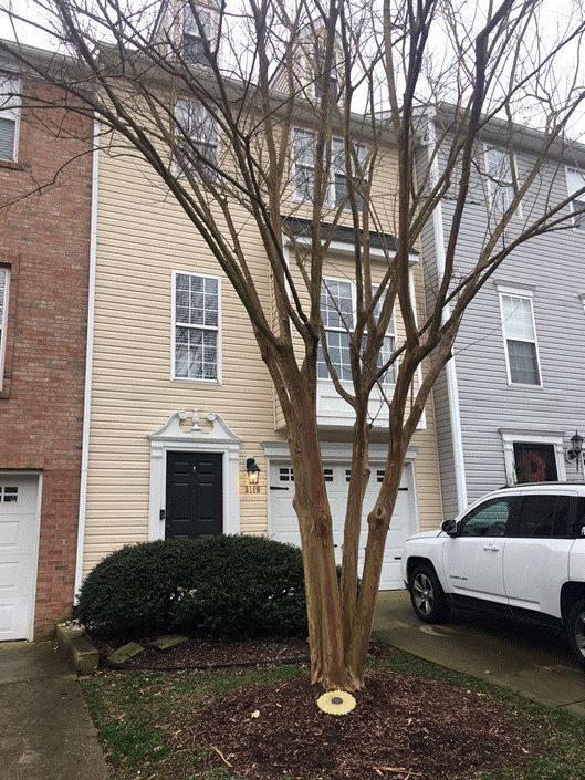 3119 Settle In Ln, Raleigh, NC 27614