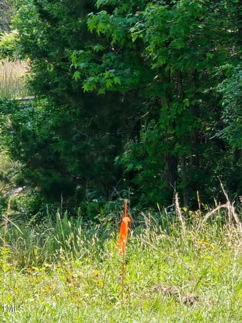 312 Beaver Dam Rd, Creedmoor, NC 27522