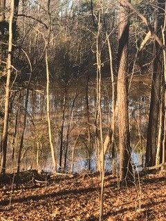 312 Oakmere Dr Young Lot 4, Cary, NC 27513