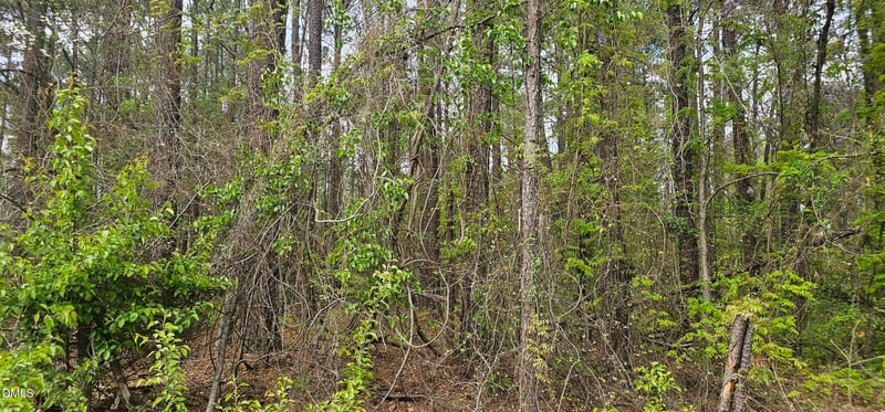 312 Teel Dr Lot A, Durham, NC 27704