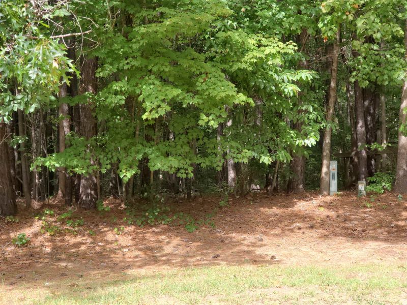 3121 White Pine Ct Lot 99, Wake Forest, NC 27587
