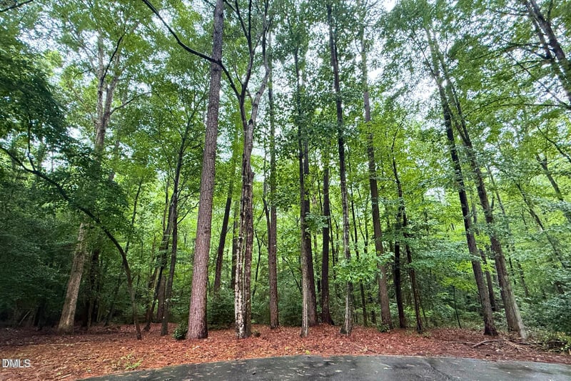 3124 Sand Wedge Lot 3124, Sanford, NC 27332