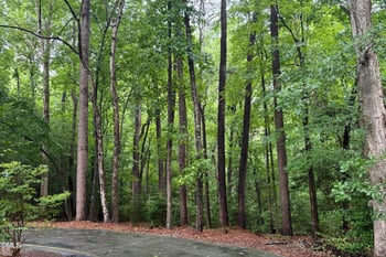 3124 Sand Wedge Lot 3124, Sanford, NC 27332