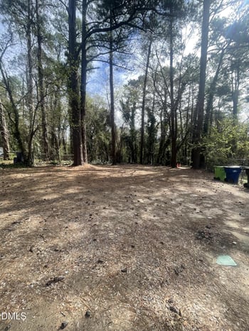 313 Angier Ave, Raleigh, NC 27610