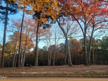 3131 Carbonton Rd Lot 1, Sanford, NC 27330