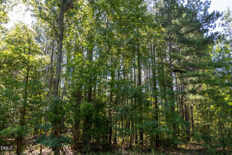 3132 Walters Rd Lot 55143, Creedmoor, NC 27522