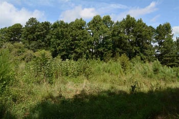 3133 Burlington Mills Rd, Wake Forest, NC 27587