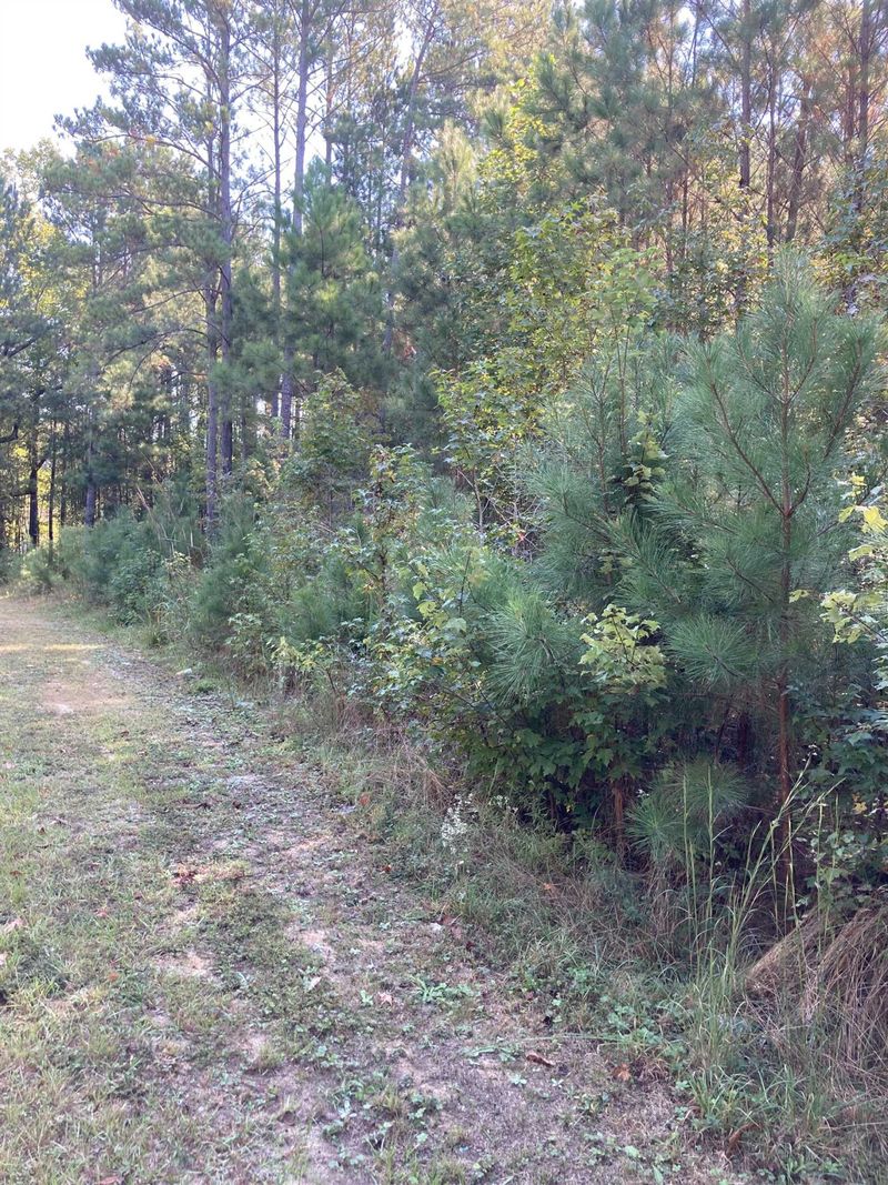 3148 Walters Rd Lot 3, Creedmoor, NC 27522