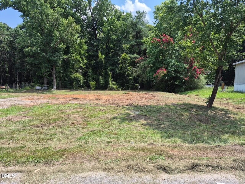 316 Morehead Dr Lot 43, Willow Springs, NC 27592