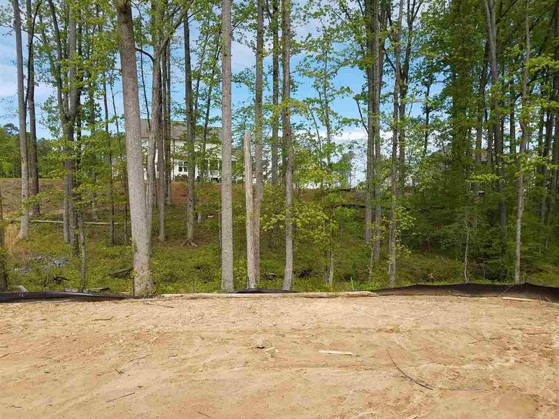 3164 Curling Creek Dr, Apex, NC 27502