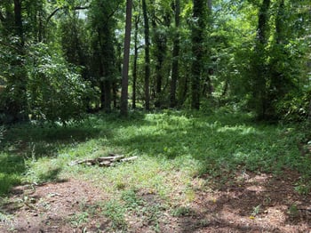 317 Gary St, Durham, NC 27703