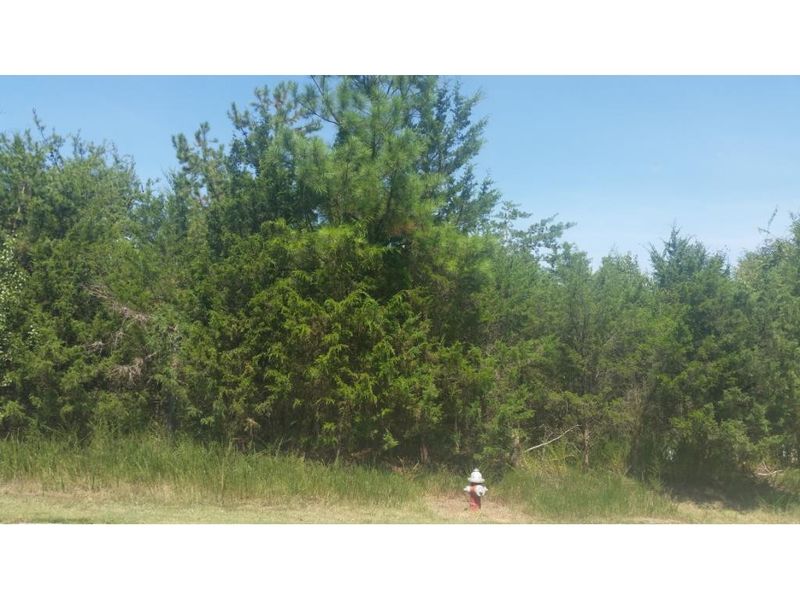 317 Old Farm, Graham, NC 27253